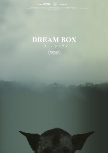 Poster Dream Box