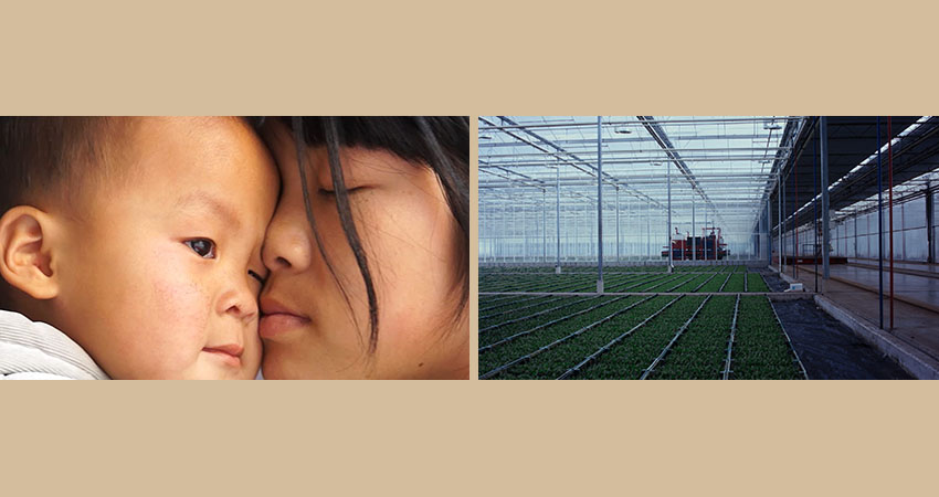 'Agrilogistics' by Gerard Ortín and 'All about my Sisters' by Wang Qiong