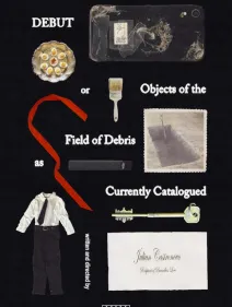 Debut, or, Objects of the Field of Debris as Currently Catalogued